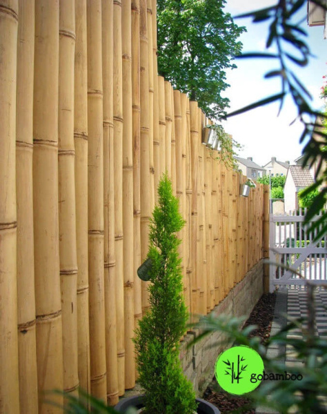 inspirace bambusový plot